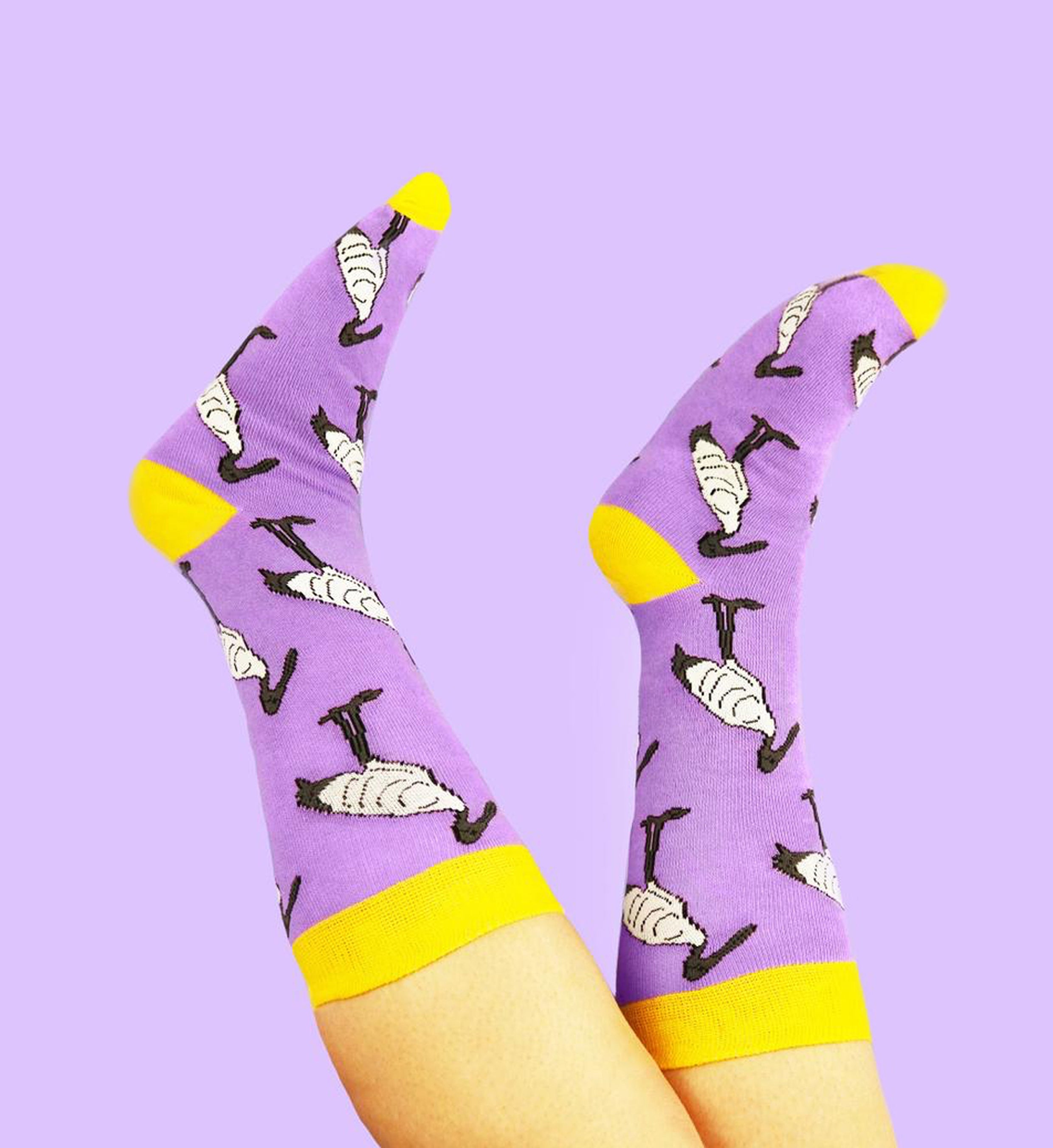 Bin Chicken Socks
