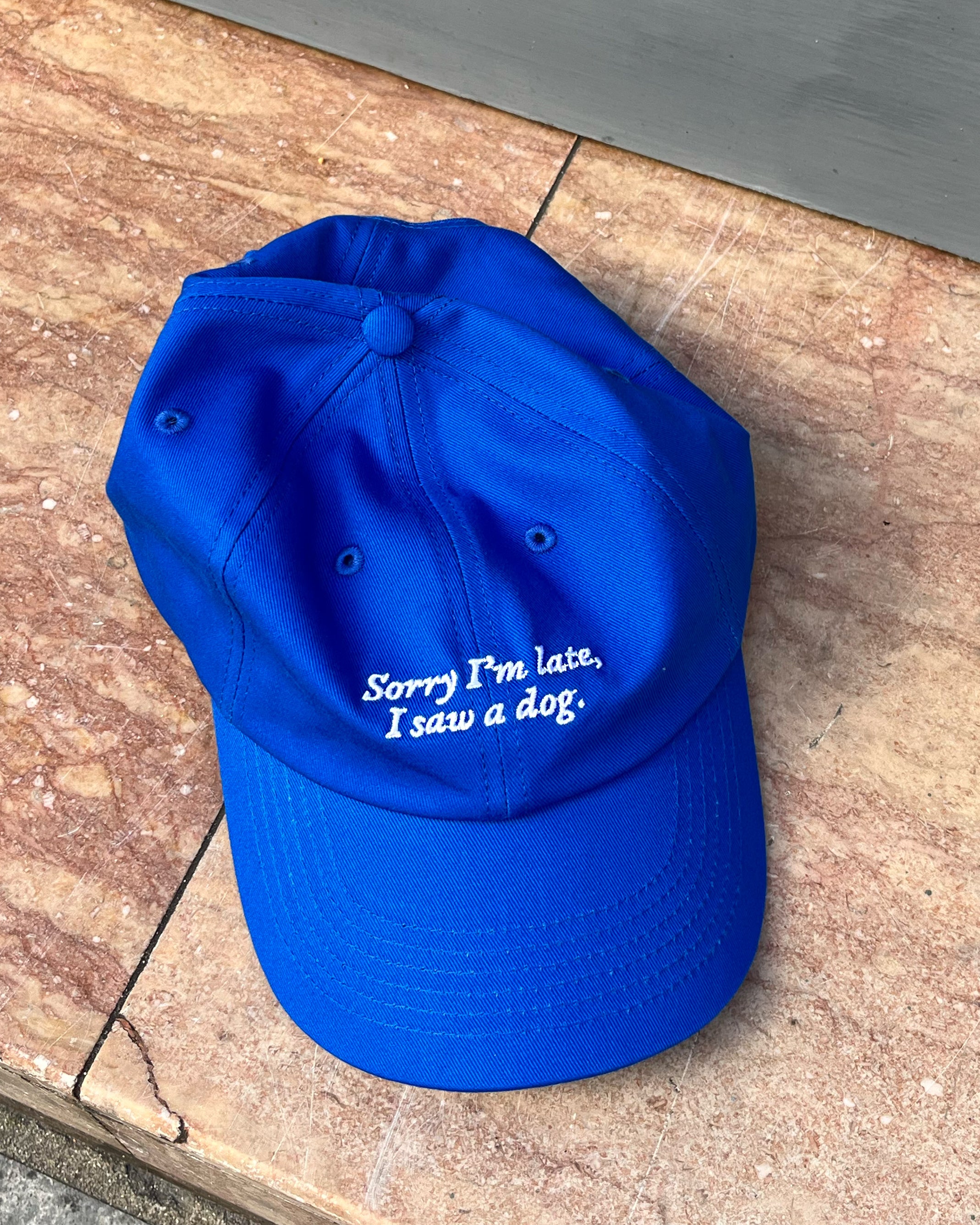 PRE-ORDER: Sorry I’m Late I Saw A Dog Cotton Hat (Shipping in 2-3 weeks) LESS THAN 10 UNITS LEFT!