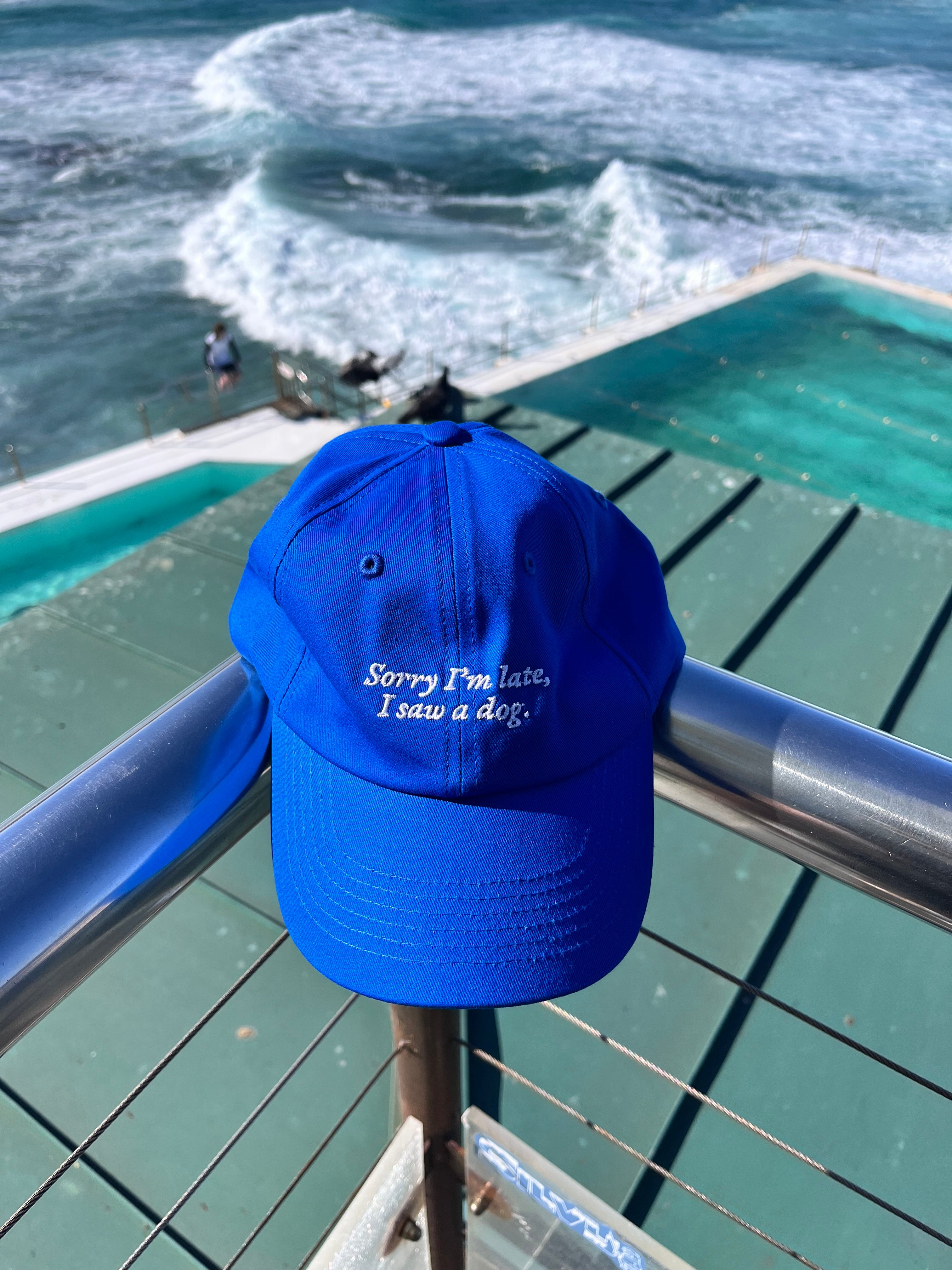 Sorry I’m Late I Saw A Dog Cotton Hat - LESS THAN 5 UNITS LEFT!